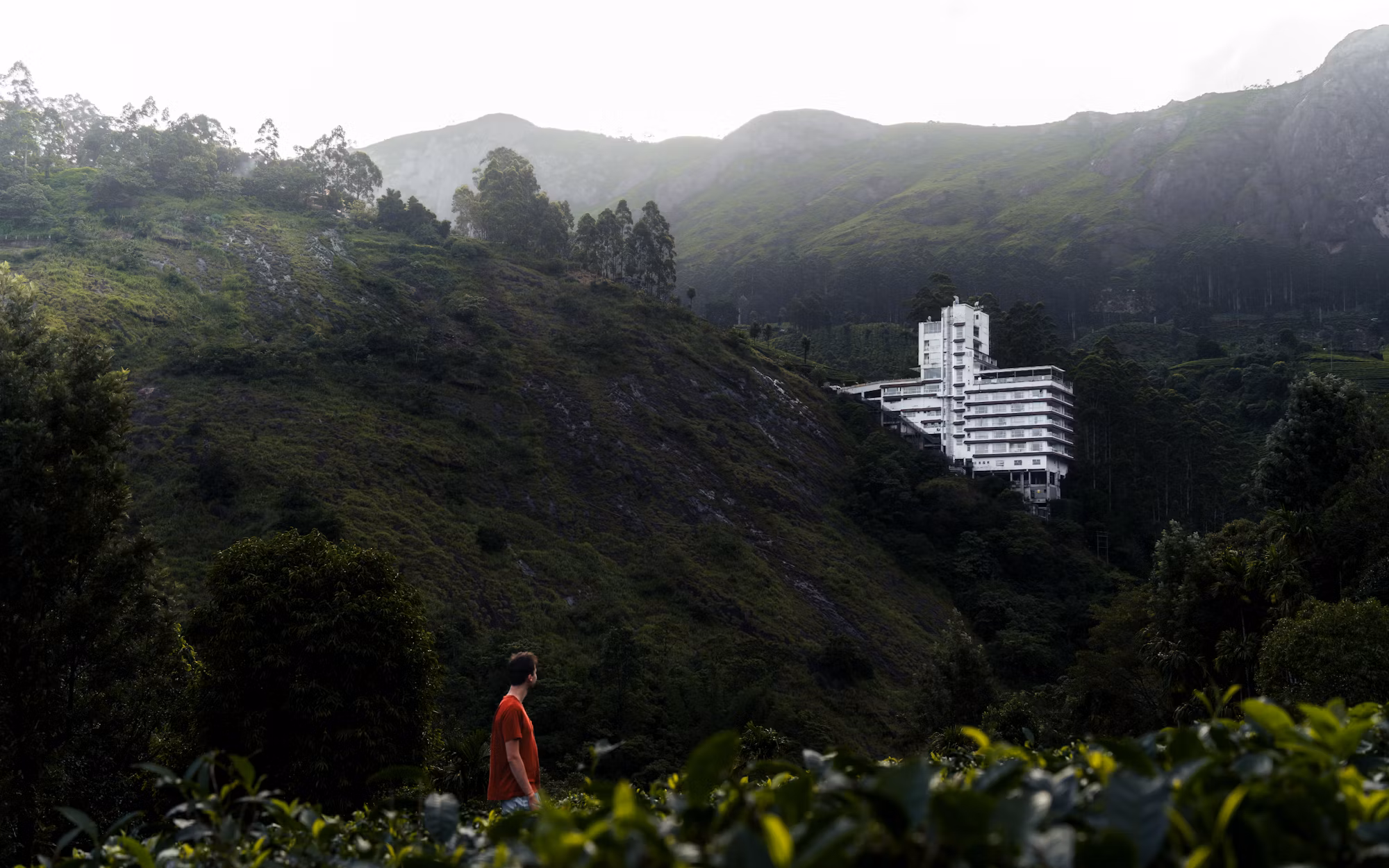 Culinary Journeys: Exploring the World Through Food